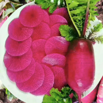 Red King Radish Kimchi Vegetable Seeds (200 seeds) - Basic Farm House