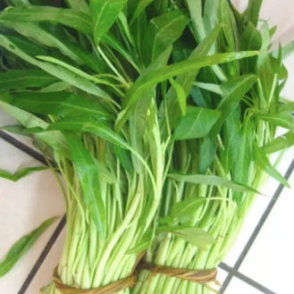 Chinese BIG Leaf Variety White Stem Kangkong Water Spinach Vegetable Seeds (150 seeds)  Basic Farm House
