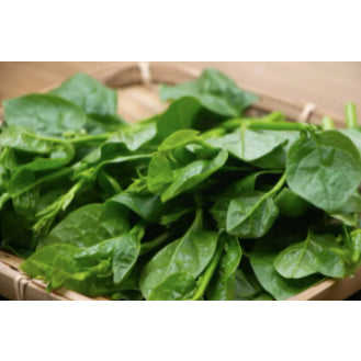 Chinese Big Green Leaf Alugbati Malabar Spinach Variety Vegetable Seeds (30 seeds) - Basic Farm House