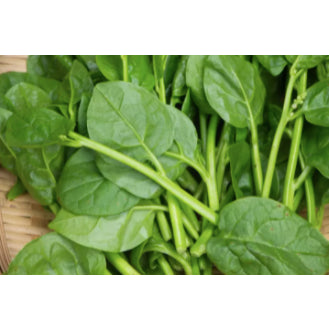 Chinese Big Green Leaf Alugbati Malabar Spinach Variety Vegetable Seeds (30 seeds) - Basic Farm House
