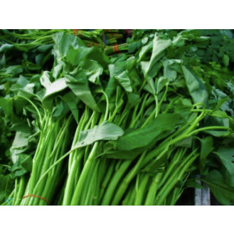 Chinese Kangkong Water Spinach Upland Seeds (50 seeds) - Basic Farm House