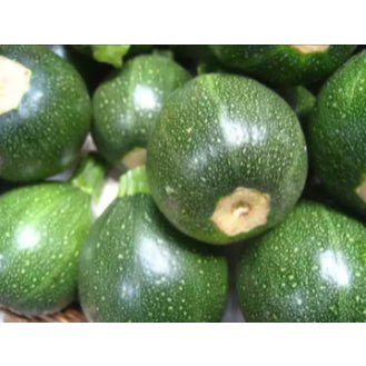 RARE Green Mini Round Zucchini Squash Upo Vegetable Seeds (10 seeds) - Basic Farm House