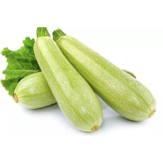 RARE Cuarzo Squash Upo Vegetable Seeds (20 seeds) - Basic Farm House