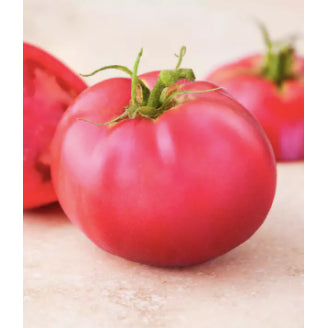 BIG American Pink Crown 802 Red Tomato Vegetable Seeds (200 seeds) - Basic Farm House
