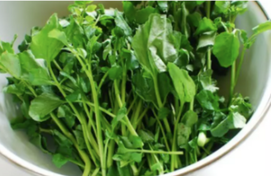 Watercress Herbs Vegetable Seeds (1000 seeds) - Basic Farm House