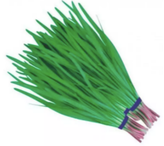 Chinese Purple Stem Chives Kuchay Vegetable Seeds (1200 seeds) - Basic Farm House