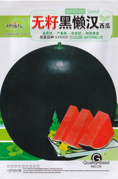 Sweet Black Round Seedless Watermelon  Seeds ( 30 seeds ) - Basic Farm House