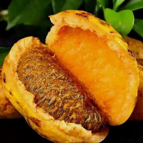September Yellow Fruit Vegetable Seeds ( 30 seeds ) - Basic Farm House