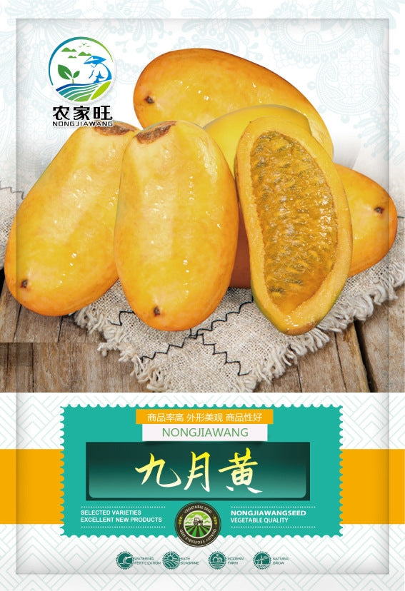 September Yellow Fruit Vegetable Seeds ( 30 seeds ) - Basic Farm House