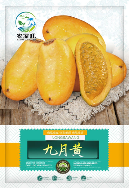September Yellow Fruit Vegetable Seeds ( 30 seeds ) - Basic Farm House