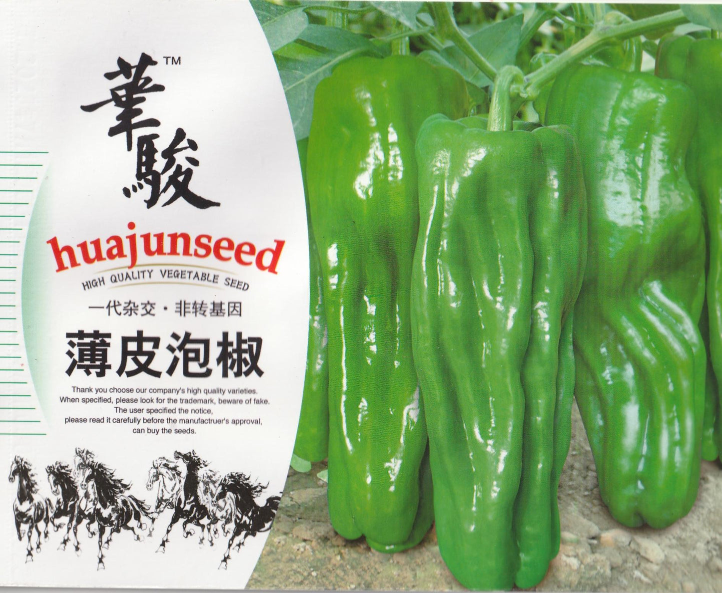 Japanese Sweet Shishito Peppers Vegetable Seeds (100 seeds) - Basic Farm House