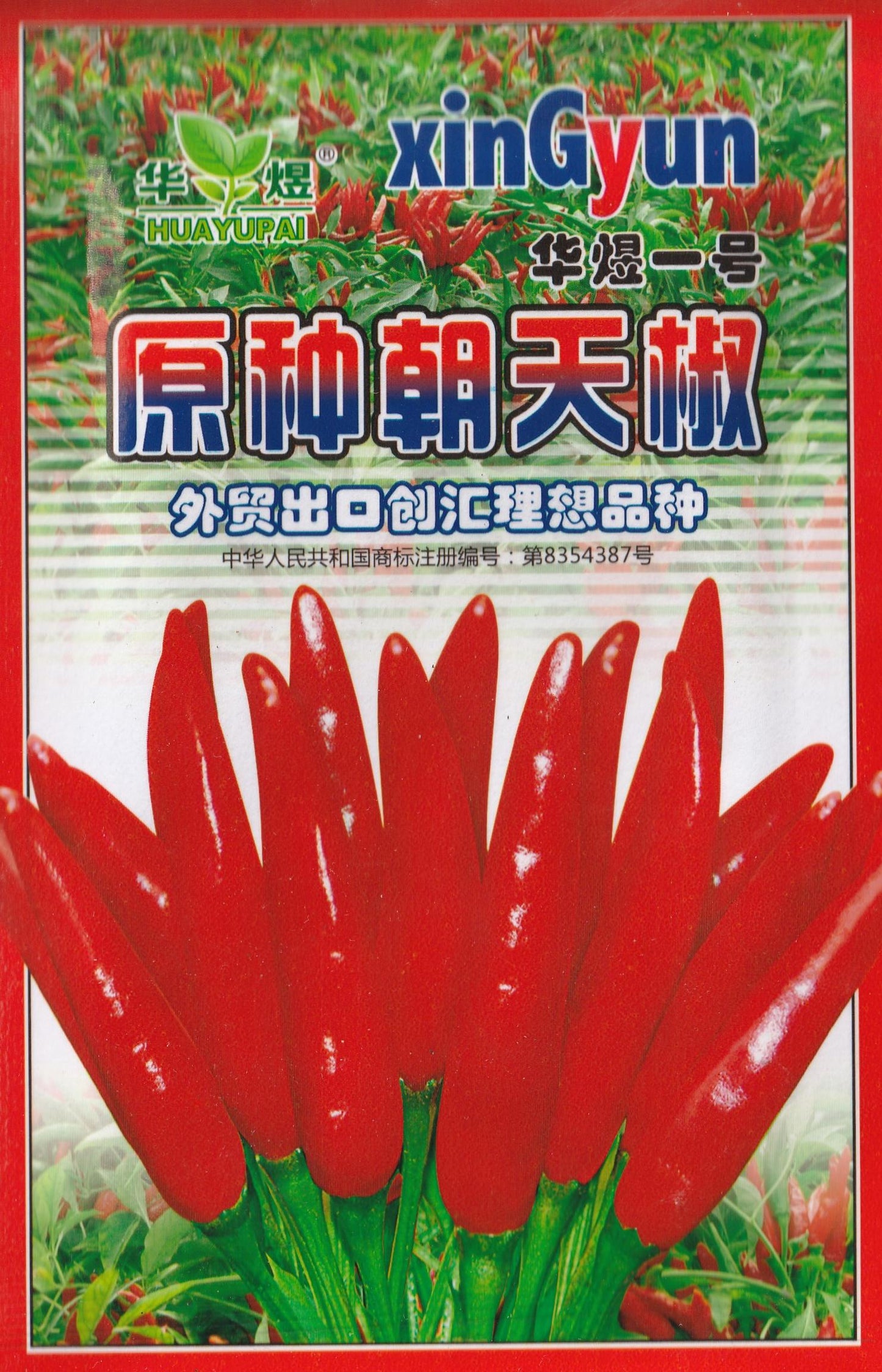 Chinese Sichuan Facing Heaven Chile Super Spicy Red Chili Pepper Vegetable Seeds (500 seeds)