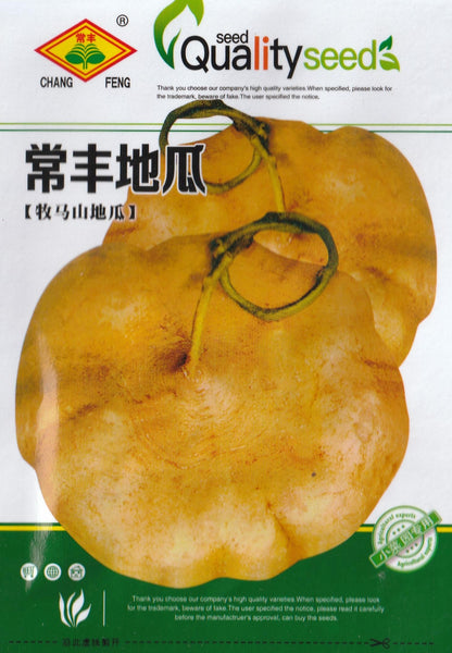 Singkamas Vegetable Seeds (20 seeds) - Basic Farm House