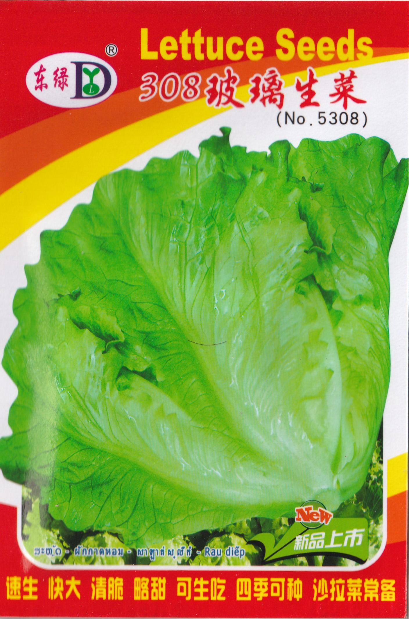 RARE Soft Tail Green Leaf Lettuce Salad Vegetable Seeds (1000 seeds) - Basic Farm House