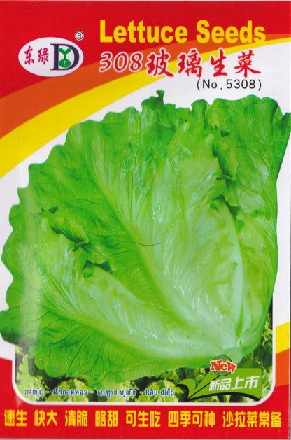 RARE Soft Tail Green Leaf Lettuce Salad Vegetable Seeds (1000 seeds) - Basic Farm House