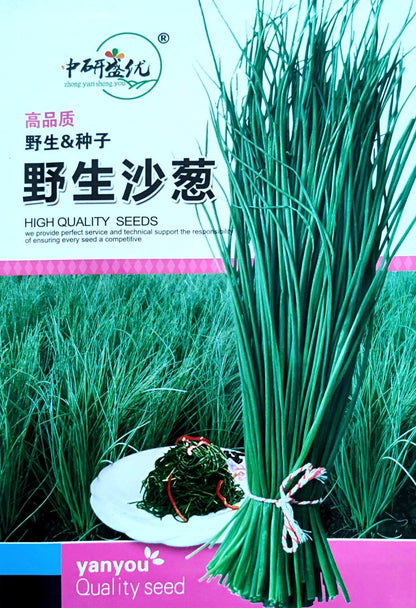 Chinese Small Green Onion Vegetable Seeds ( 1000 seeds ) - Basic Farm House