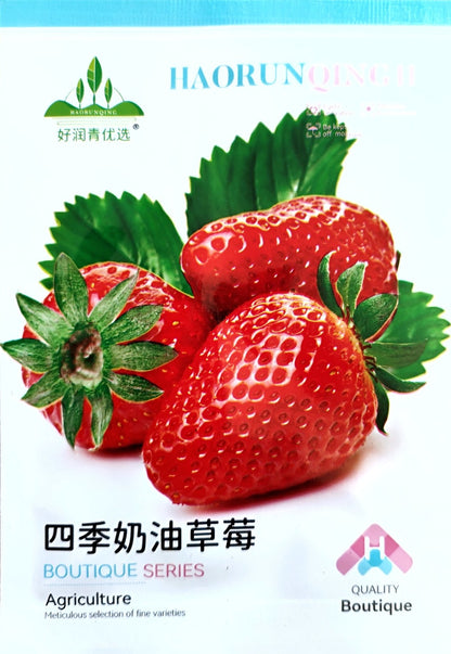Strawberry Fruit Vegetable Seeds (200 seeds) - Basic Farm House