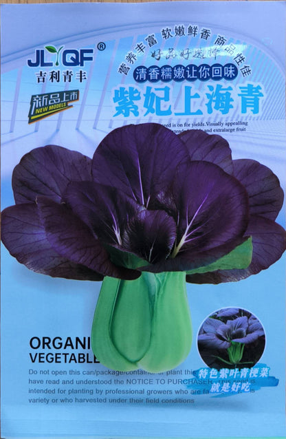Sulit Pack Purple Pechay Pak Choi Vegetable Seeds ( 500 seeds ) - Basic Farm House