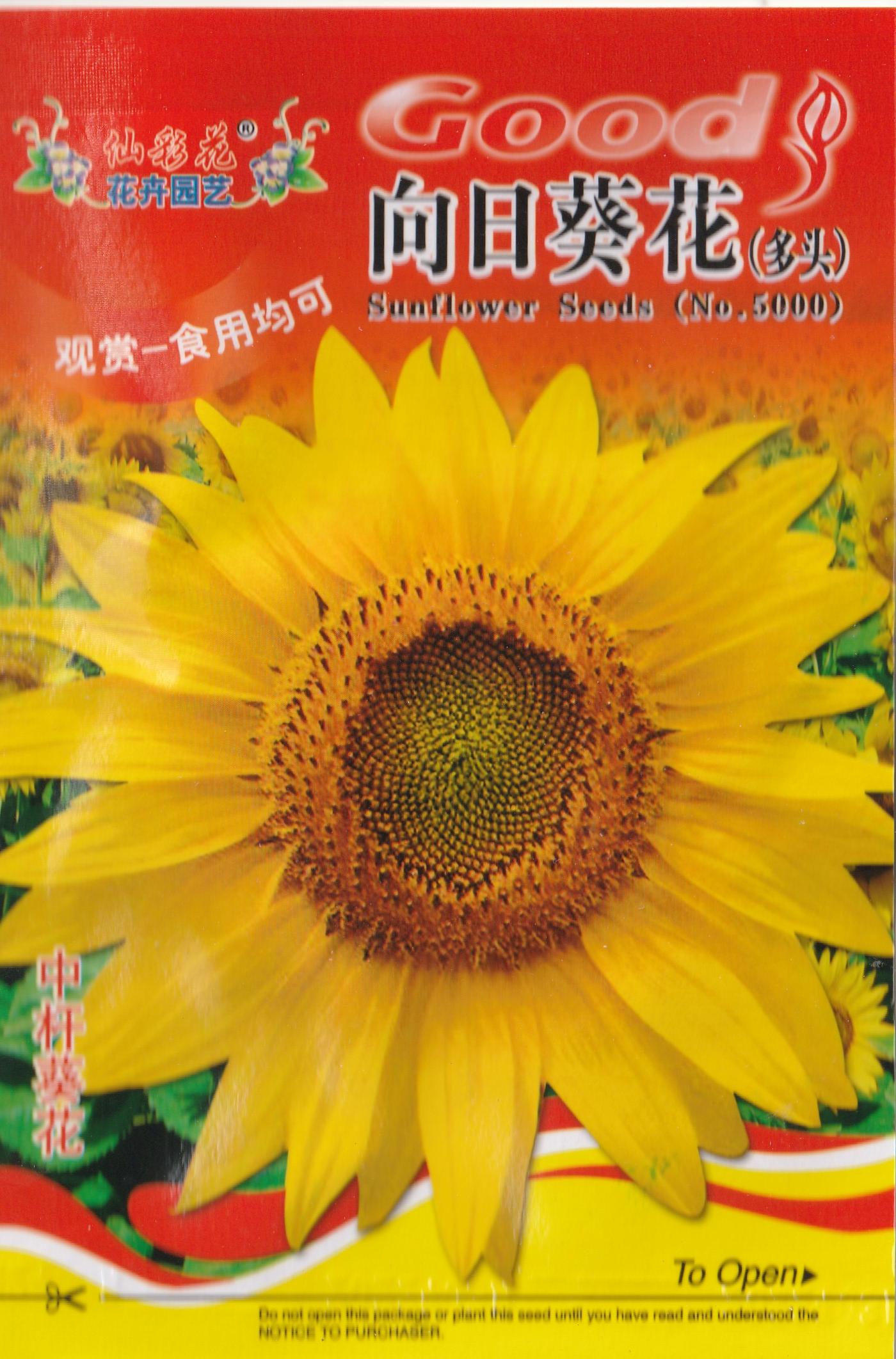 Sunflower Flower Seeds  ( 60 seeds ) - Basic Farm House