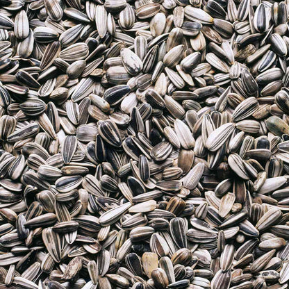 Sunflower Flower Seeds  ( 60 seeds ) - Basic Farm House