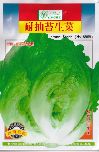 Super Premium Pack Italian Lettuce Variety Salad Vegetable Seeds ( 5000 seeds ) - Basic Farm House