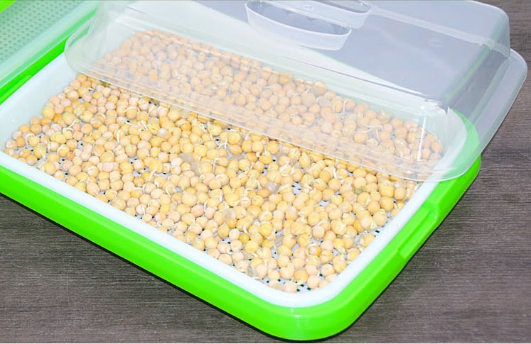 2 Layers with Cover Hydroponics Seed Germination Tray Microgreen Tray Medium Size - Basic Farm House