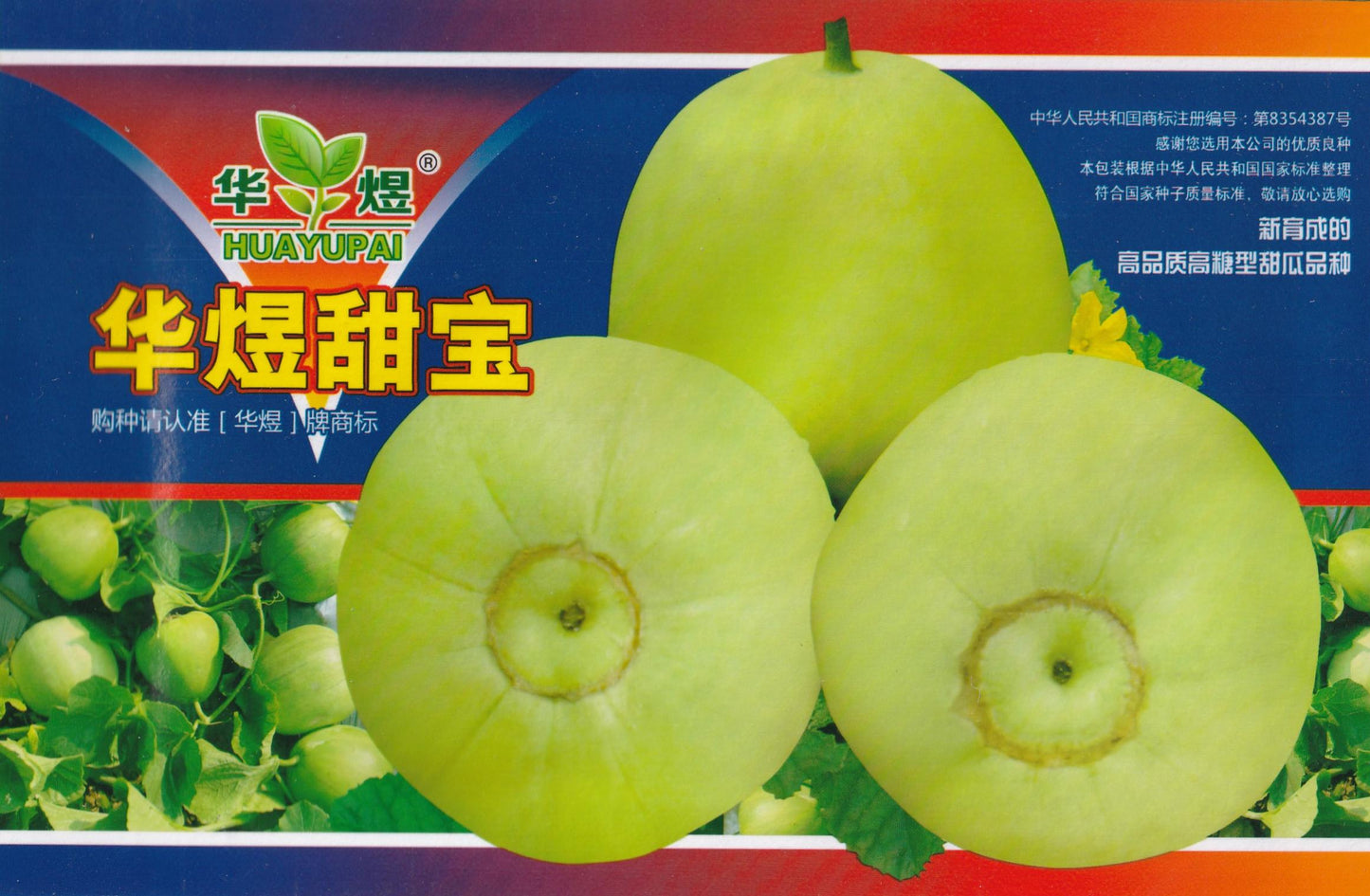 RARE Taiwan Japanese Sweet Green Treasure Melon Fruit Vegetable Seeds (30 seeds) - Basic Farm House