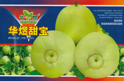 RARE Taiwan Japanese Sweet Green Treasure Melon Fruit Vegetable Seeds (30 seeds) - Basic Farm House