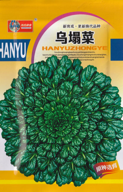 Organic Green Rosette Bok Choy Tatsoi Vegetable Seeds (500 seeds) - Basic Farm House