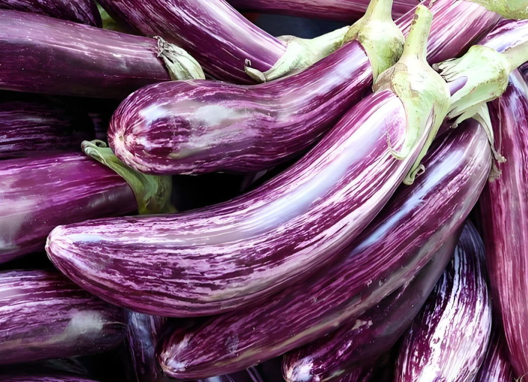 Thailand Bamboo Silk Long Eggplant Vegetable Seeds (300 seeds) - Basic Farm House