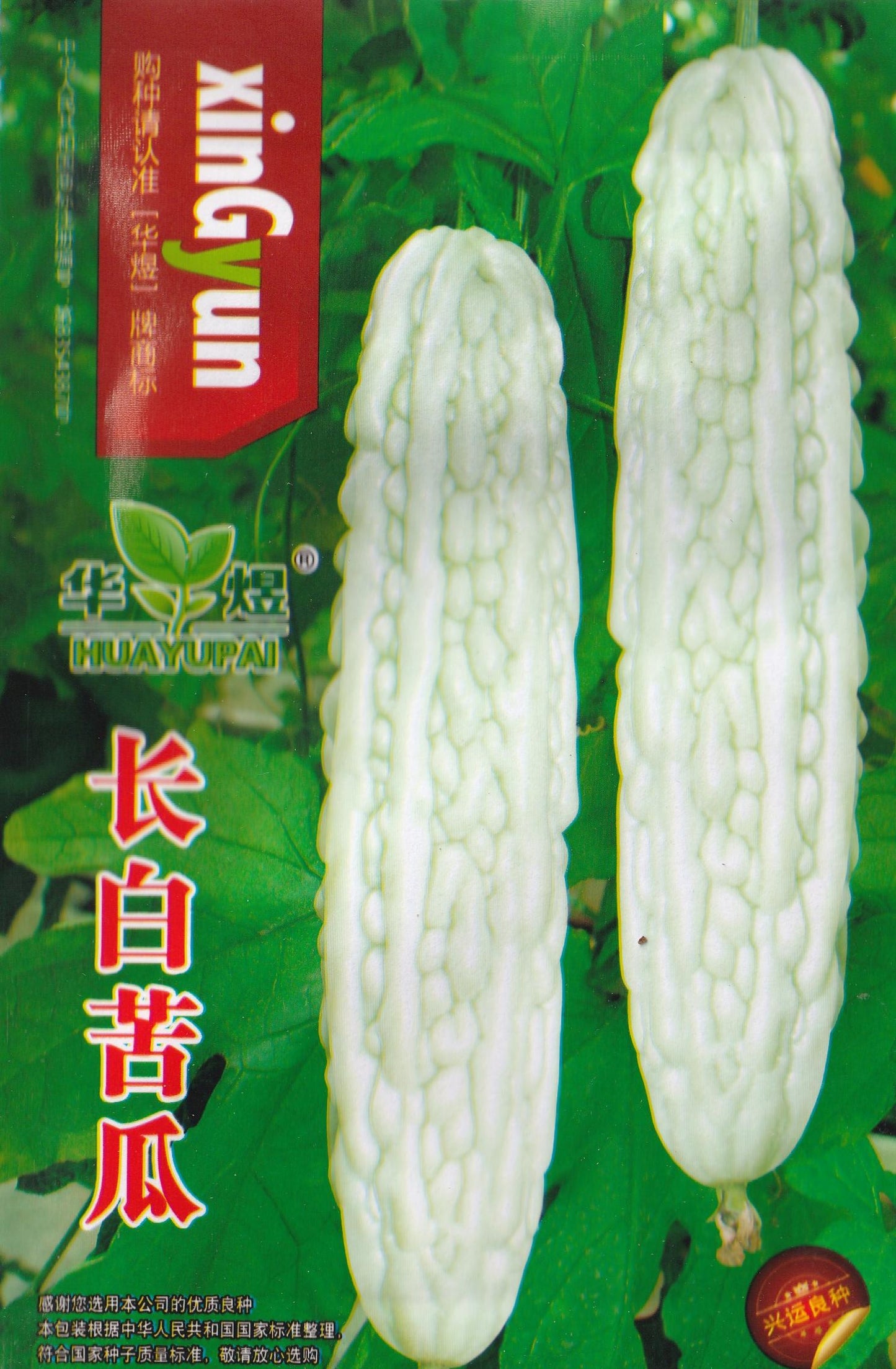 White Bitter Long Gourd Ampalaya Seeds (10 seeds) - Basic Farm House