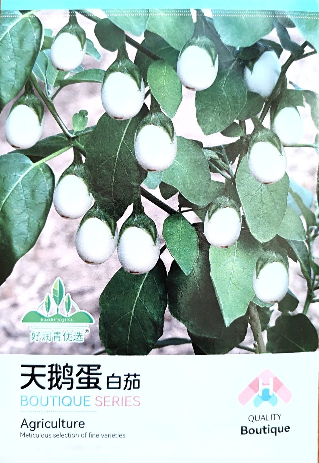 Golden White Easter Egg Eggplant Vegetable Seeds ( 100 seeds ) - Basic Farm House
