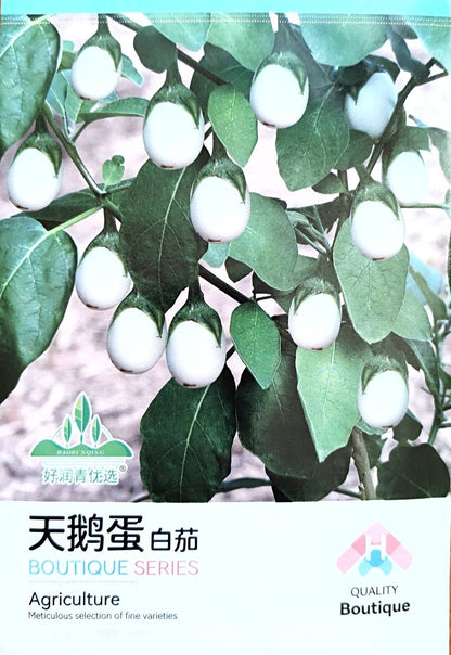 Golden White Easter Egg Eggplant Vegetable Seeds ( 100 seeds ) - Basic Farm House