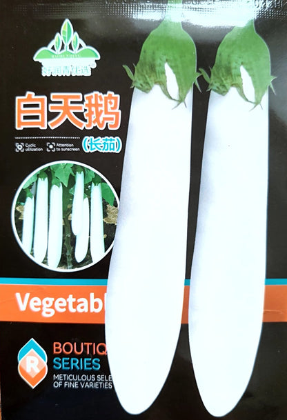 Rare White Dragon Long Eggplant Vegetable Seeds (300 seeds) - Basic Farm House