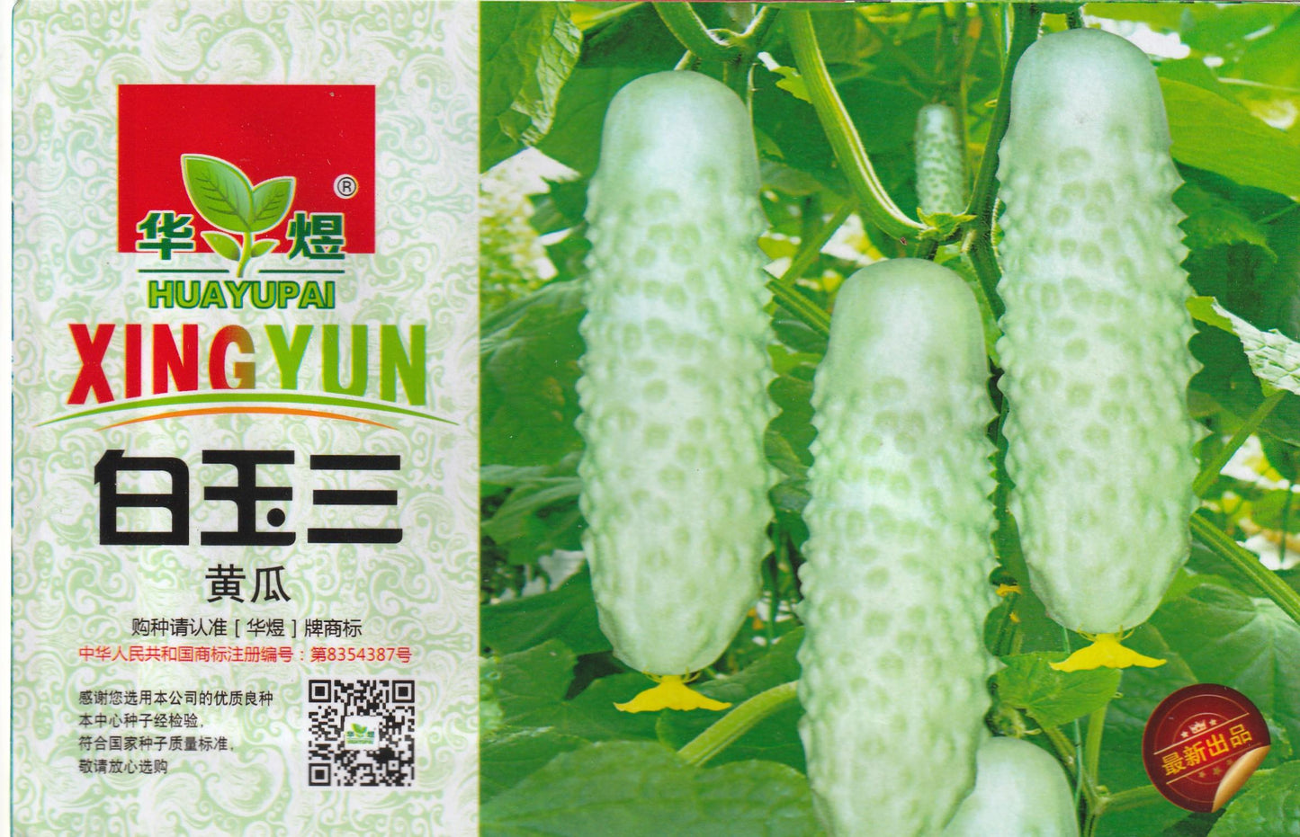 White Jade Cucumber Pipino Vegetable Seeds (25 seeds) - Basic Farm House