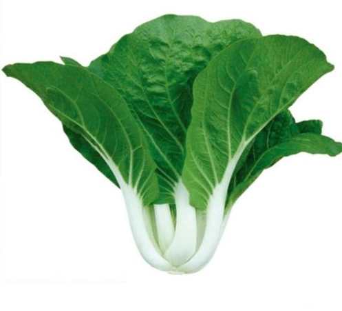 Chinese White Rose Small Pechay Pak Choi Vegetable Seeds ( 2000 seeds ) - Basic Farm House