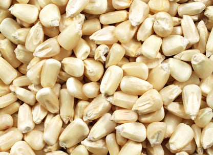 White Sweet Waxy Corn Mais Vegetable Seeds (30 seeds) - Basic Farm House