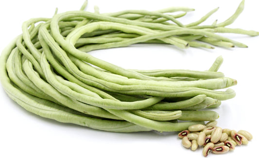 White Sweet Cow Pea Long Beans Sitao Vegetable Seeds ( 65 seeds ) - Basic Farm House