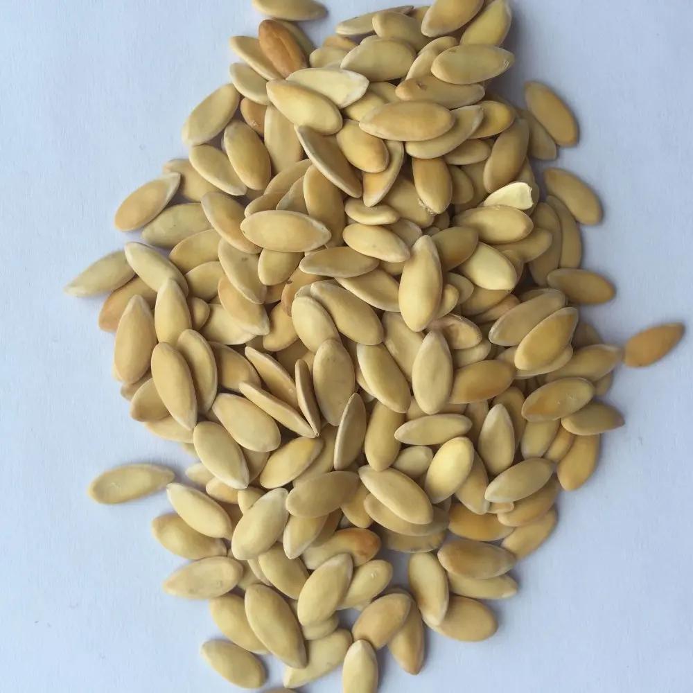 Xinjiang Hami Melon Snow Melon Fruit Vegetable Seeds (20 seeds) - Basic Farm House