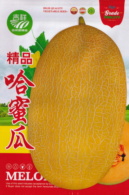 Xinjiang Hami Melon Snow Melon Fruit Vegetable Seeds (20 seeds) - Basic Farm House