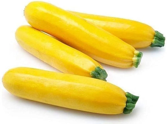 Yellow Banana Zucchini  Squash Upo Vegetable Seeds ( 10 seeds ) - Basic Farm House