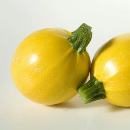 Yellow Mini Round Golden Zucchini  Squash Upo Vegetable Seeds ( 10 seeds ) - Basic Farm House