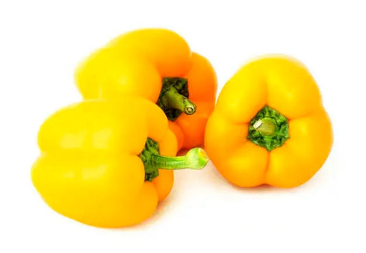 Yellow Sweet Bell Pepper Vegetable Seeds ( 100 seeds ) - Basic Farm House