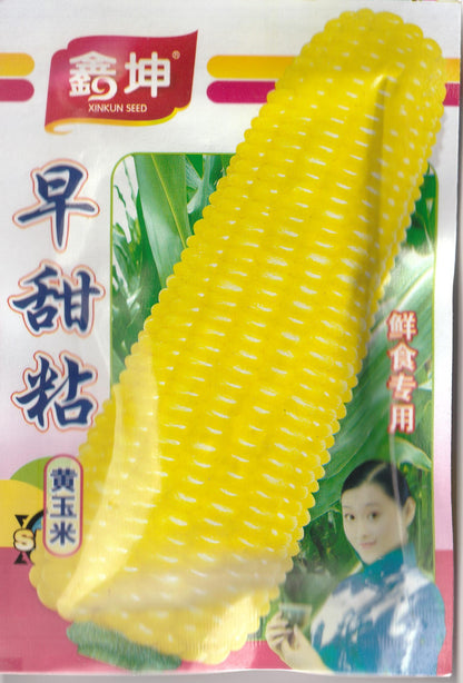 Sweet Yellow Waxy Corn Mais Vegetable Seeds ( 30 seeds ) - Basic Farm House