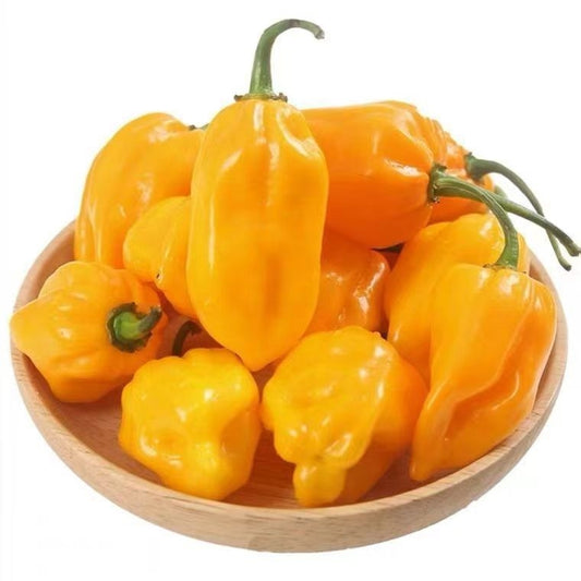 Premium Pack Yellow Hanabero Pepper Seeds ( 100 Seeds ) - Basic Farm House
