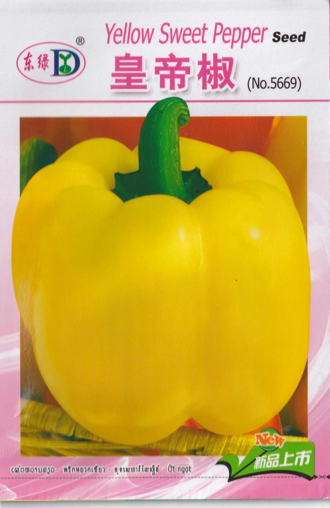 Yellow Sweet Bell Pepper Vegetable Seeds ( 100 seeds ) - Basic Farm House