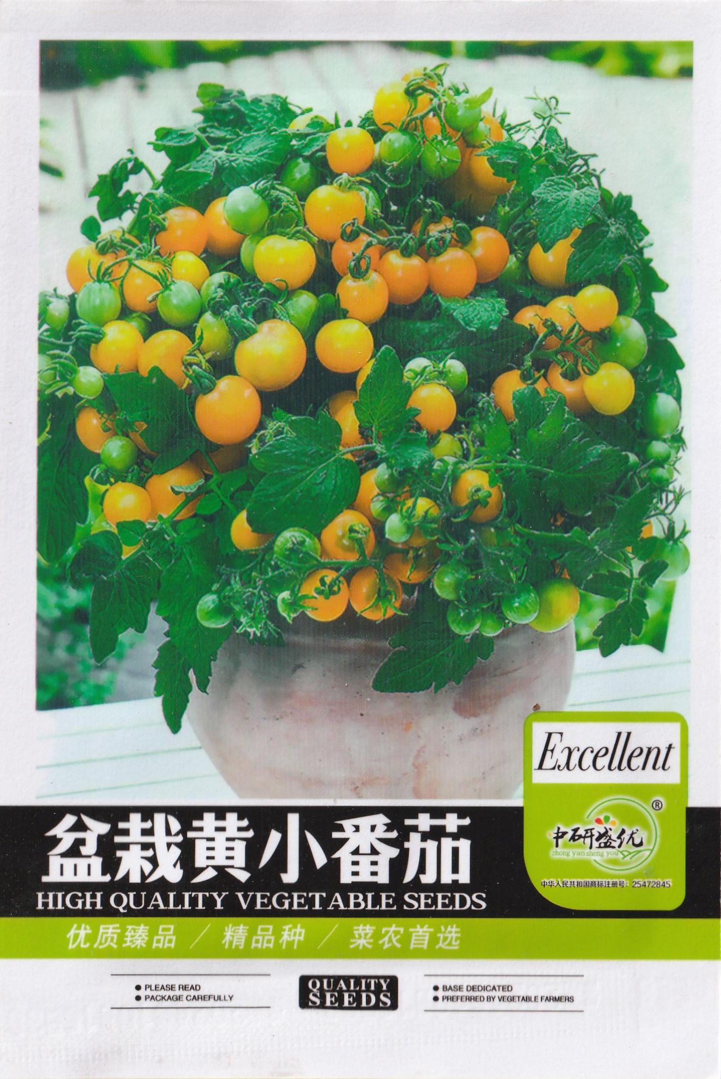 Chinese Potted Cherry Yellow Small Tomato Variety Vegetable Seeds ( 100 seeds ) - Basic Farm House