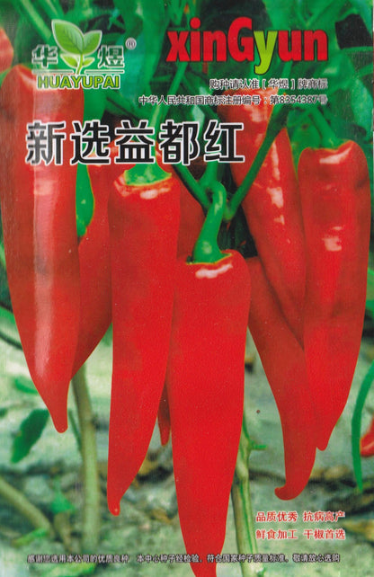Yidu Red Chili Pepper Vegetable Seeds (500 seeds) - Basic Farm House