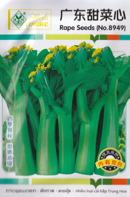 Chinese YU Choy Sum / Tshoi Sum / Choi Sum Variety Vegetable Seeds (5000 seeds) - Basic Farm House