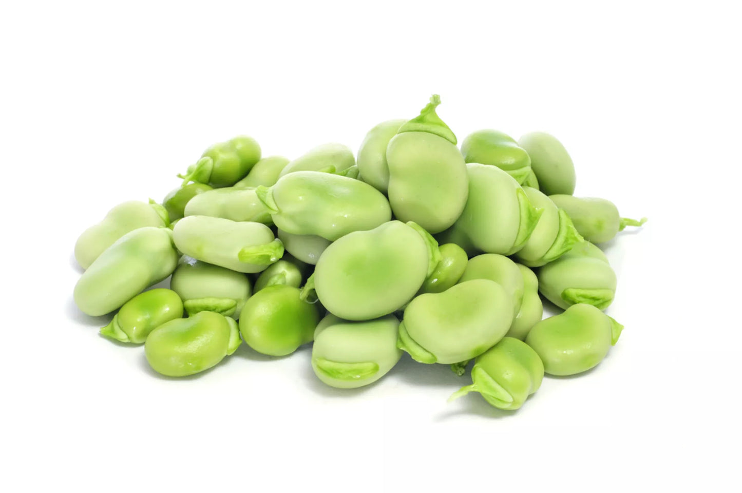 Broad Fava Beans Vegetable Seeds (20 seeds) - Basic Farm House